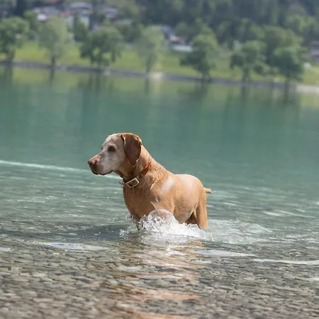 Seehotel St Hubertus Pertisau